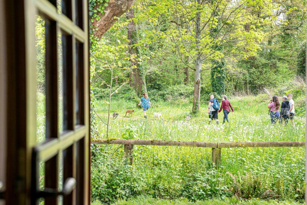 Maison de charme à proximité de Pau - 3 chambres - 6 p - Jardin Sendets (Pyrenees-Atlantiques) Exterior foto